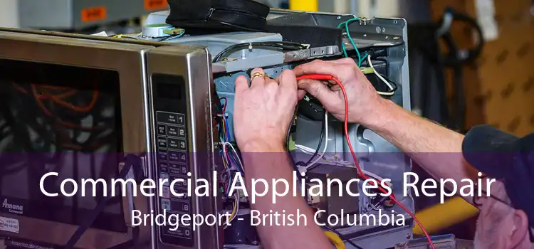 Commercial Appliances Repair Bridgeport - British Columbia