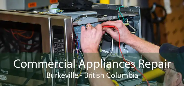 Commercial Appliances Repair Burkeville - British Columbia