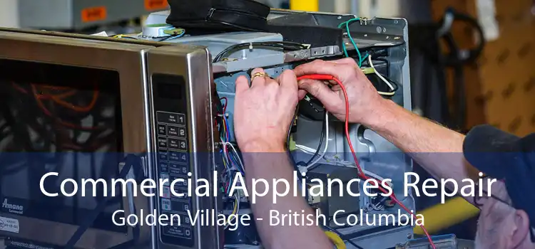 Commercial Appliances Repair Golden Village - British Columbia