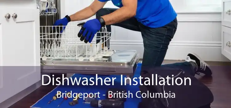 Dishwasher Installation Bridgeport - British Columbia