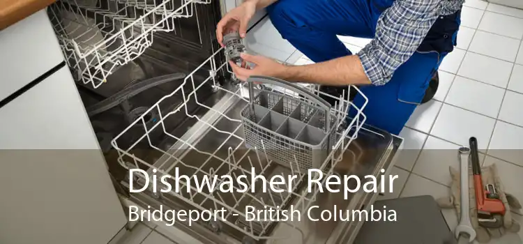 Dishwasher Repair Bridgeport - British Columbia