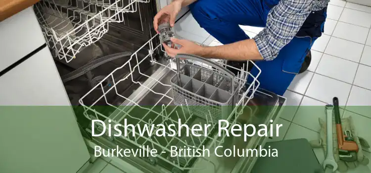 Dishwasher Repair Burkeville - British Columbia