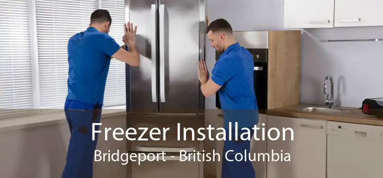 Freezer Installation Bridgeport - British Columbia