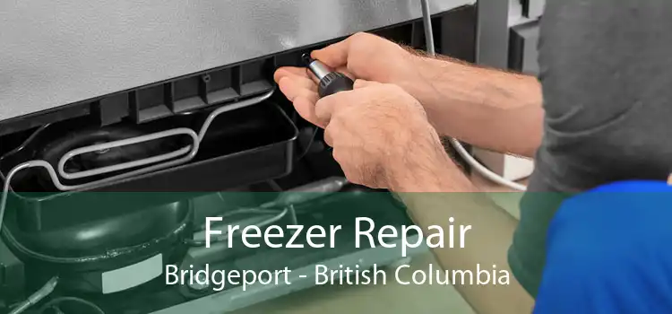 Freezer Repair Bridgeport - British Columbia