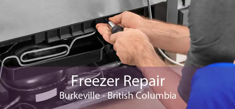 Freezer Repair Burkeville - British Columbia