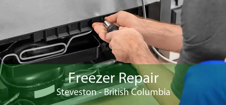 Freezer Repair Steveston - British Columbia
