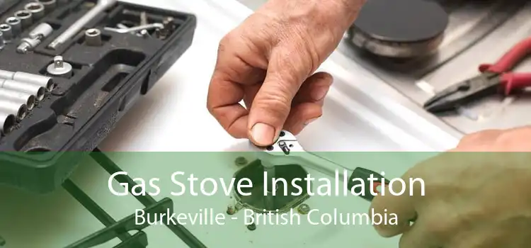 Gas Stove Installation Burkeville - British Columbia