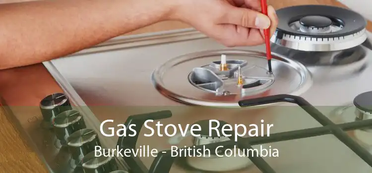 Gas Stove Repair Burkeville - British Columbia