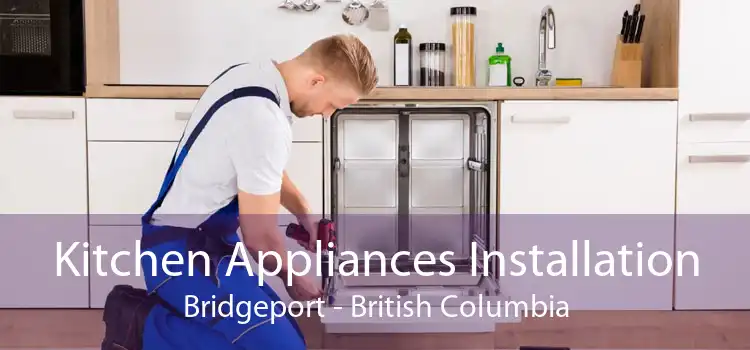 Kitchen Appliances Installation Bridgeport - British Columbia
