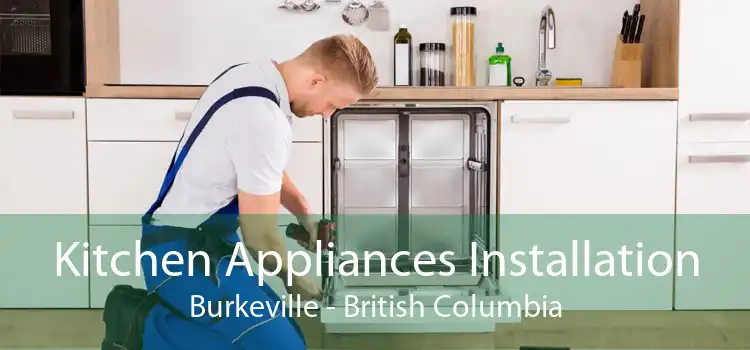 Kitchen Appliances Installation Burkeville - British Columbia