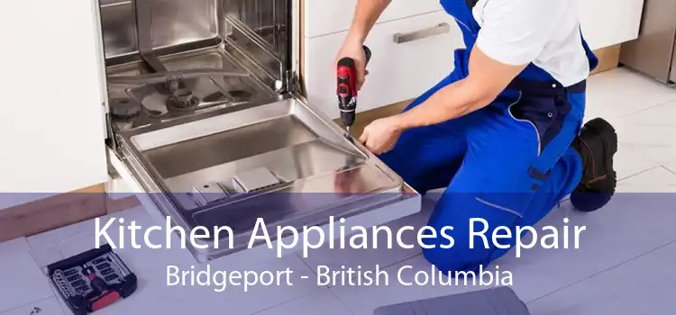 Kitchen Appliances Repair Bridgeport - British Columbia