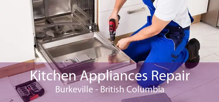Kitchen Appliances Repair Burkeville - British Columbia