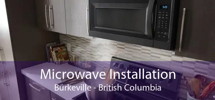 Microwave Installation Burkeville - British Columbia