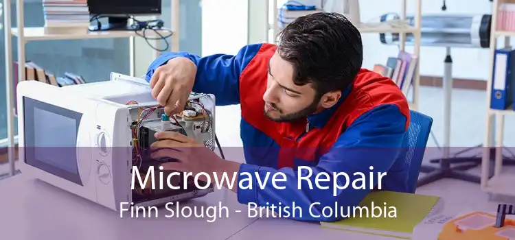 Microwave Repair Finn Slough - British Columbia
