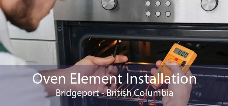 Oven Element Installation Bridgeport - British Columbia