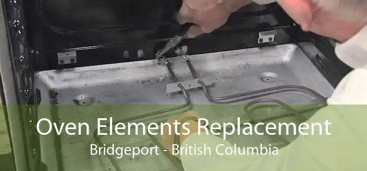 Oven Elements Replacement Bridgeport - British Columbia