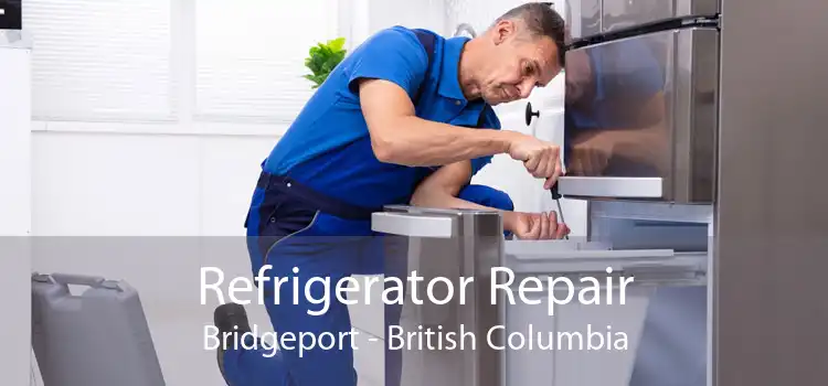 Refrigerator Repair Bridgeport - British Columbia
