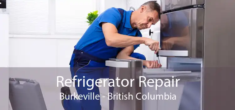 Refrigerator Repair Burkeville - British Columbia